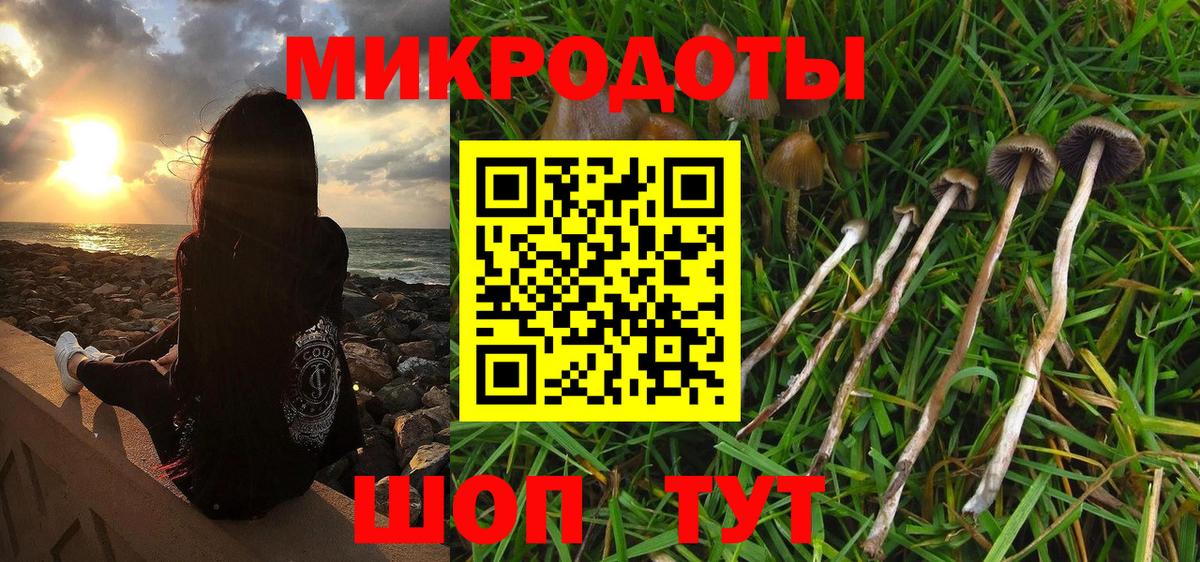 Псилоцибиновые грибы прущие грибы Сланцы