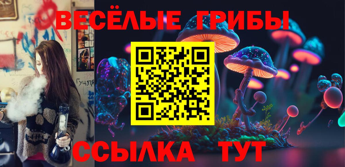 Псилоцибиновые грибы Psilocybe  Вход с VPN  Сланцы  Псилоцибиновые грибы прущие грибы 